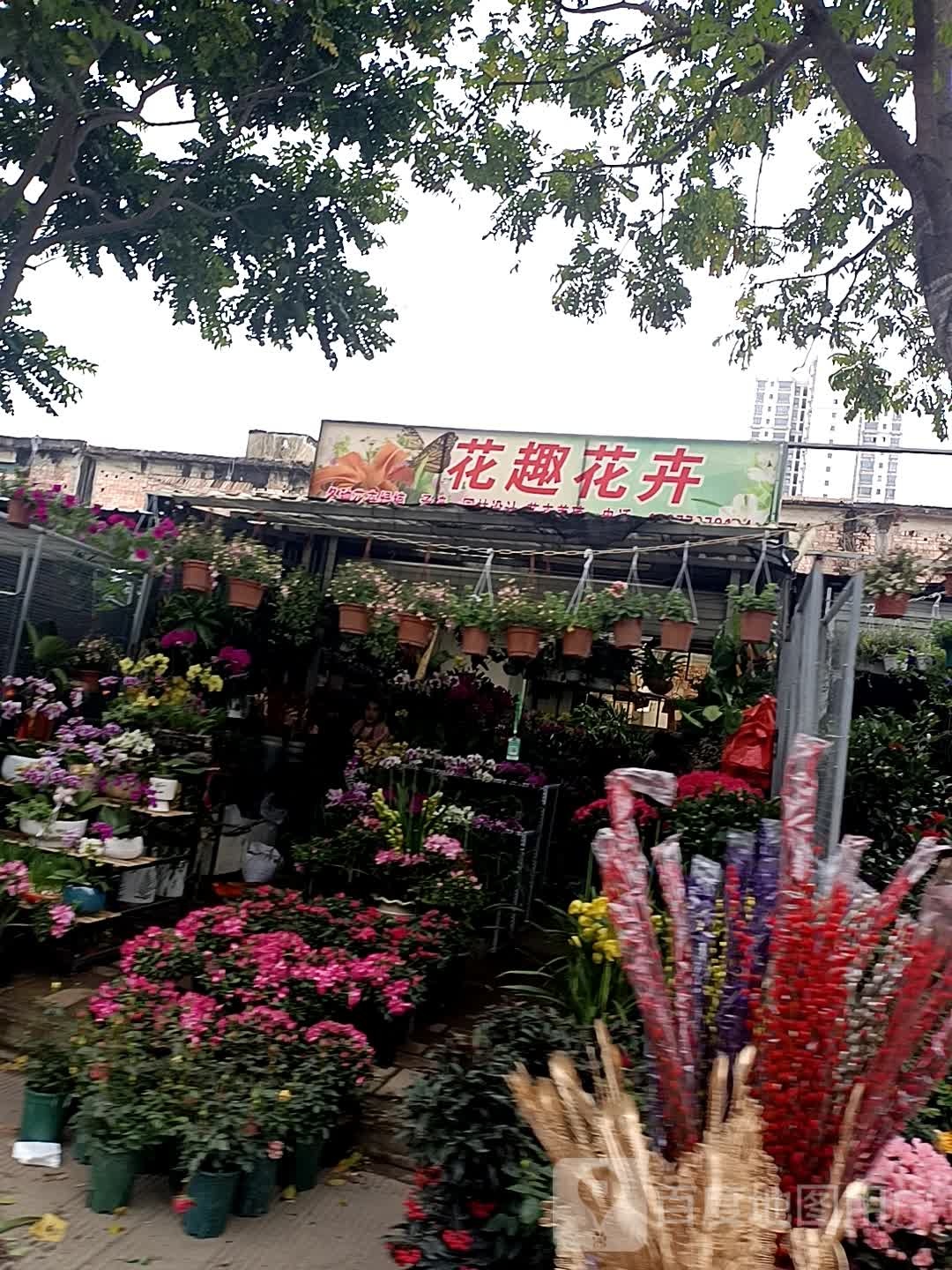 花趣花卉