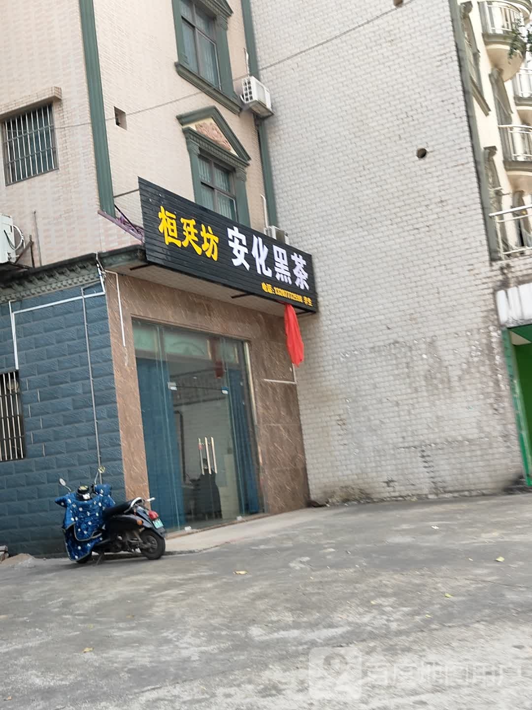 桓廷坊安化黑茶