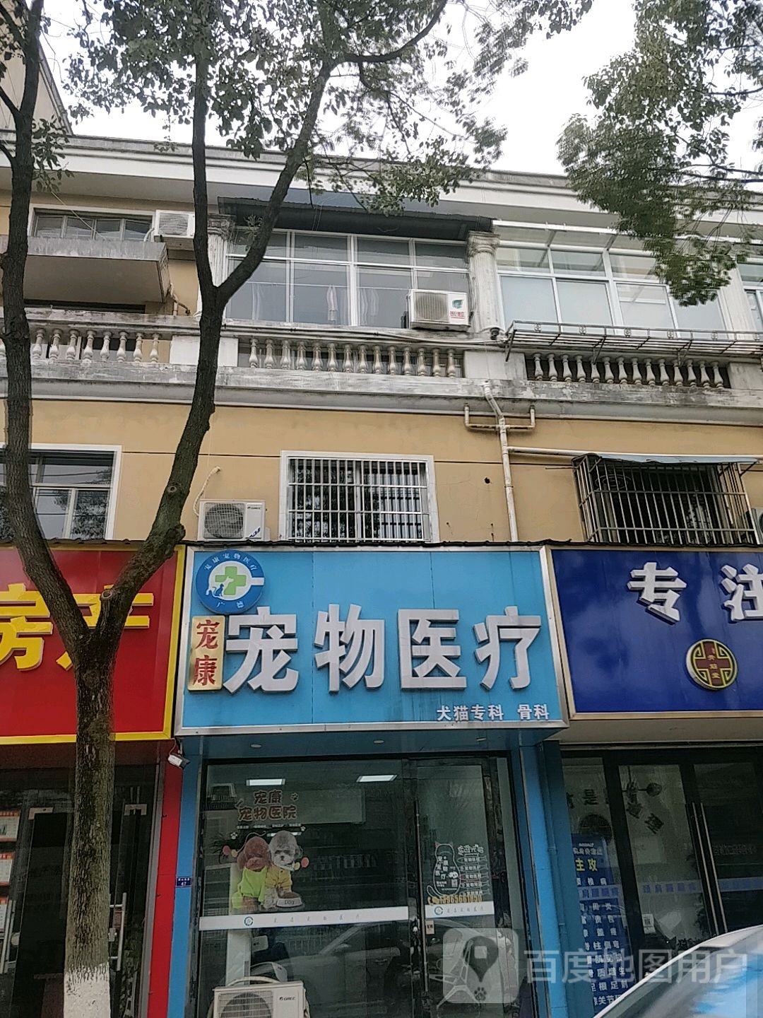 宠康宠物医疗(广德市店)