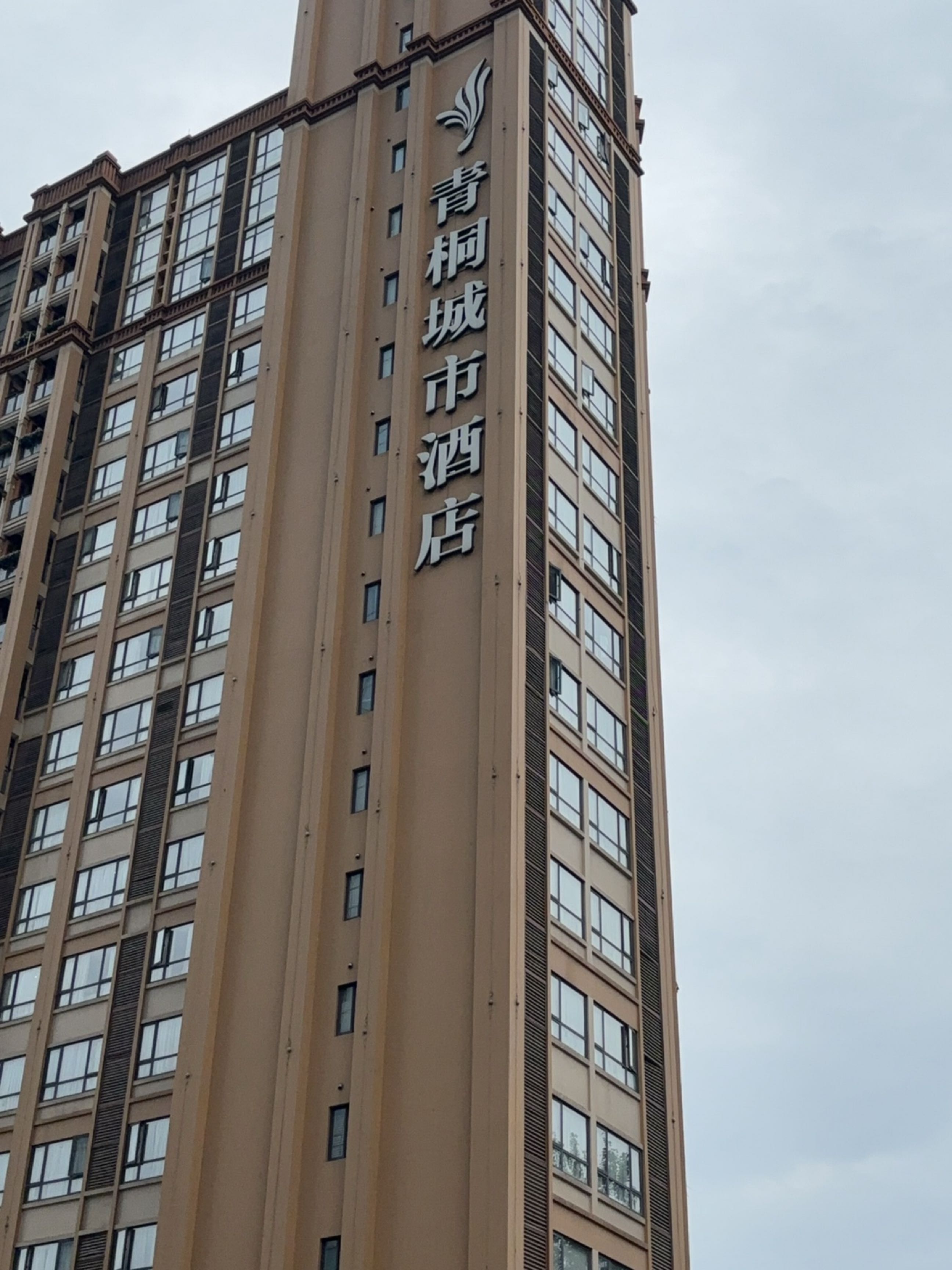 青桐城市酒店(成都宽窄巷子店)-大堂