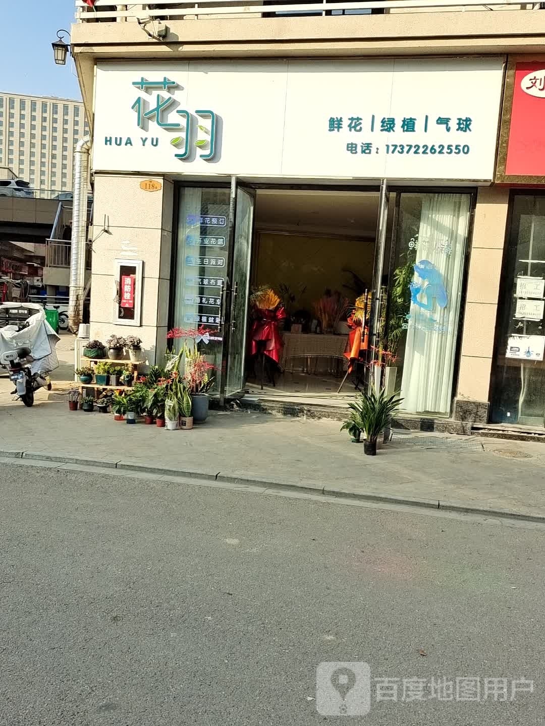 花羽新华绿植