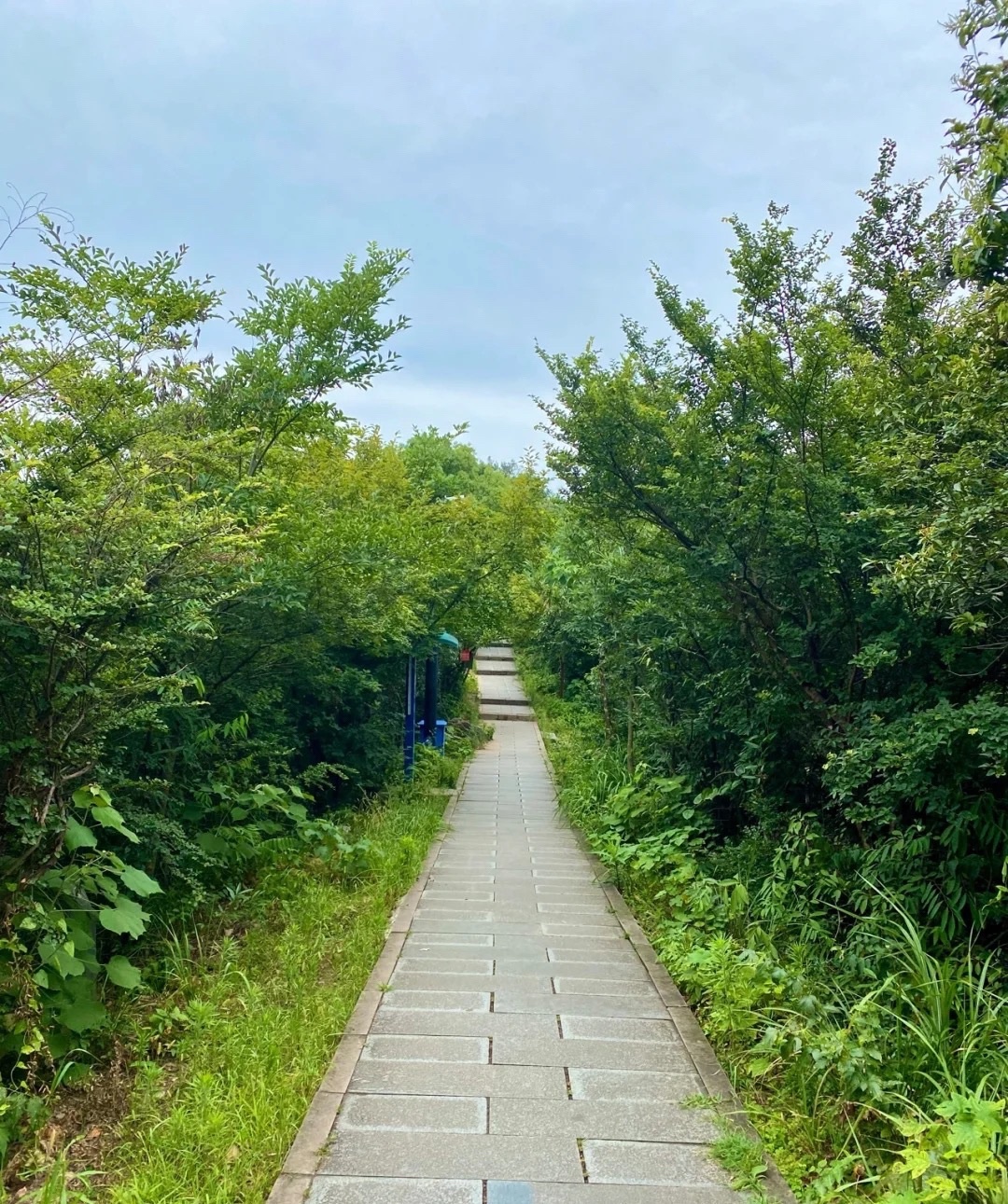 老和云起