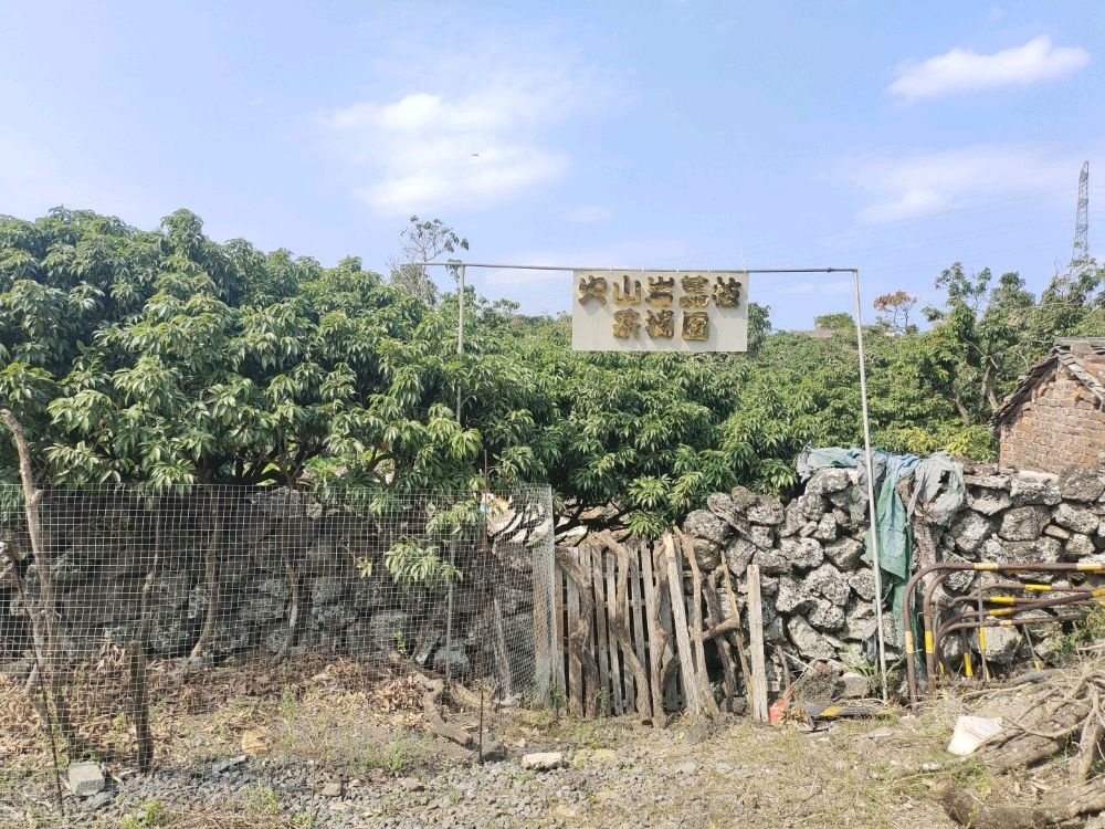 火山岩荔枝采摘园