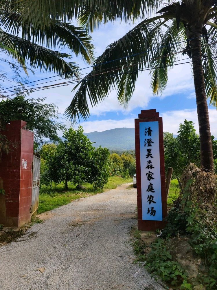 海南清澄昊淼家庭农场