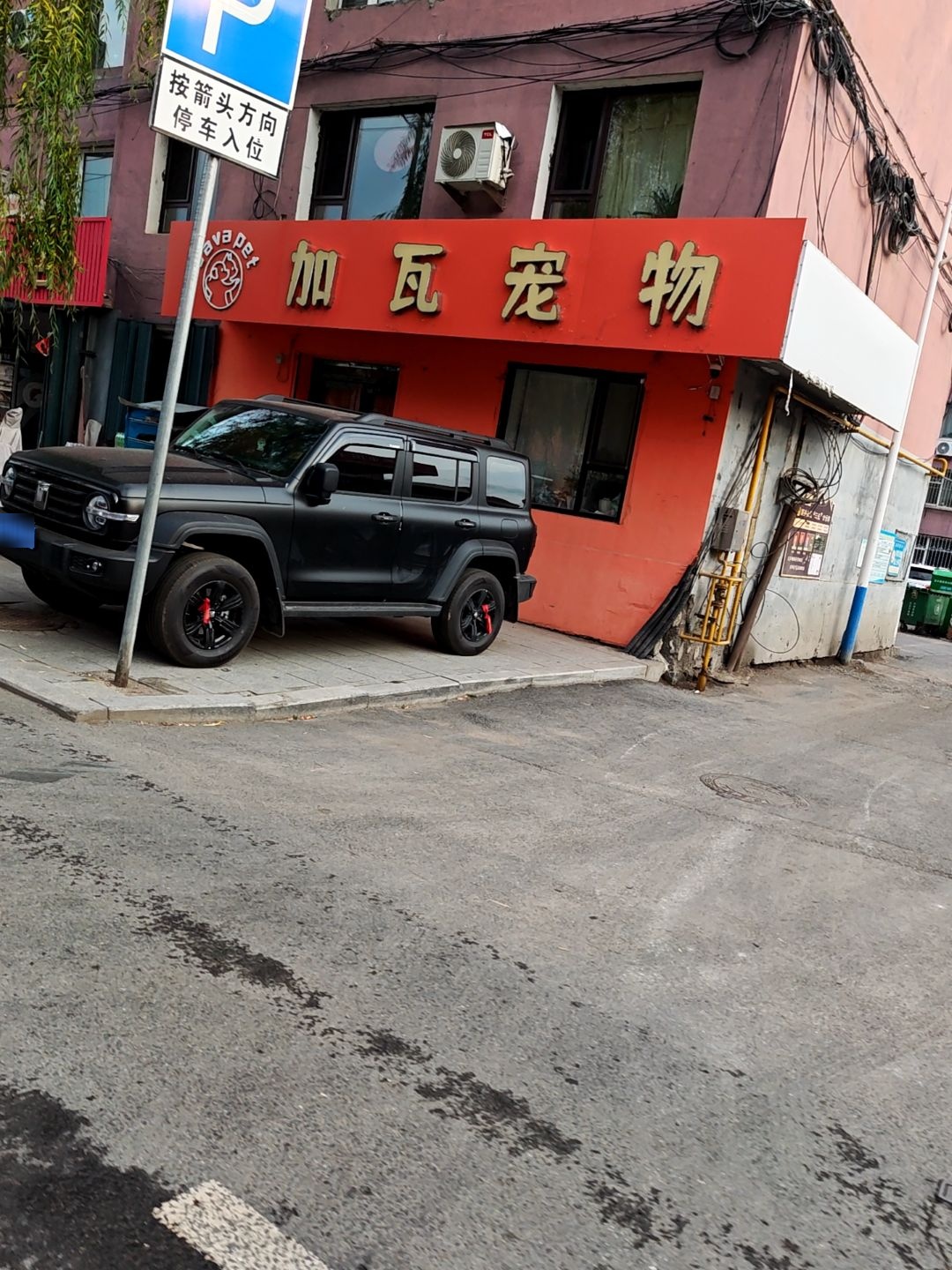 加瓦宠物