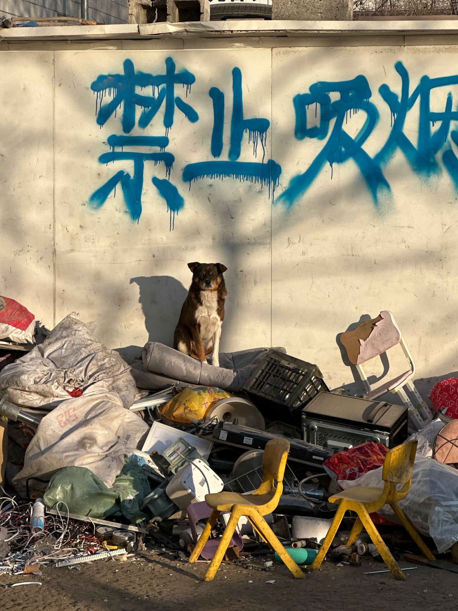 长春市宏恩再生资源回收有限公司