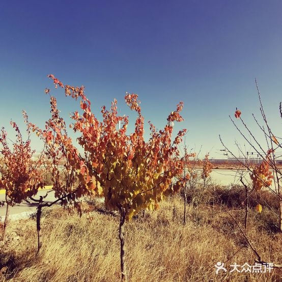 张掖市前进机动车驾驶培训有限责任公司