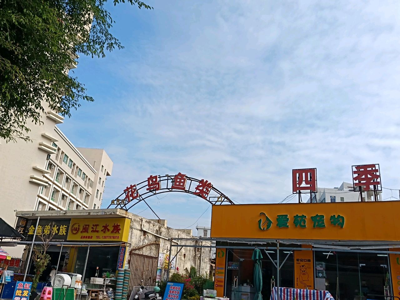 闽江水族(四季花鸟)