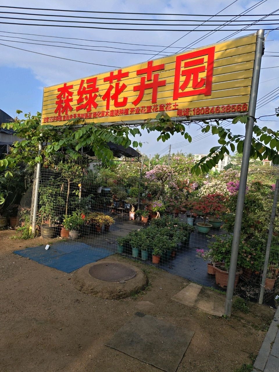 森绿花卉园