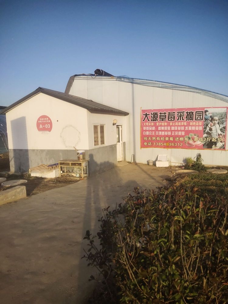 大源草莓采摘园