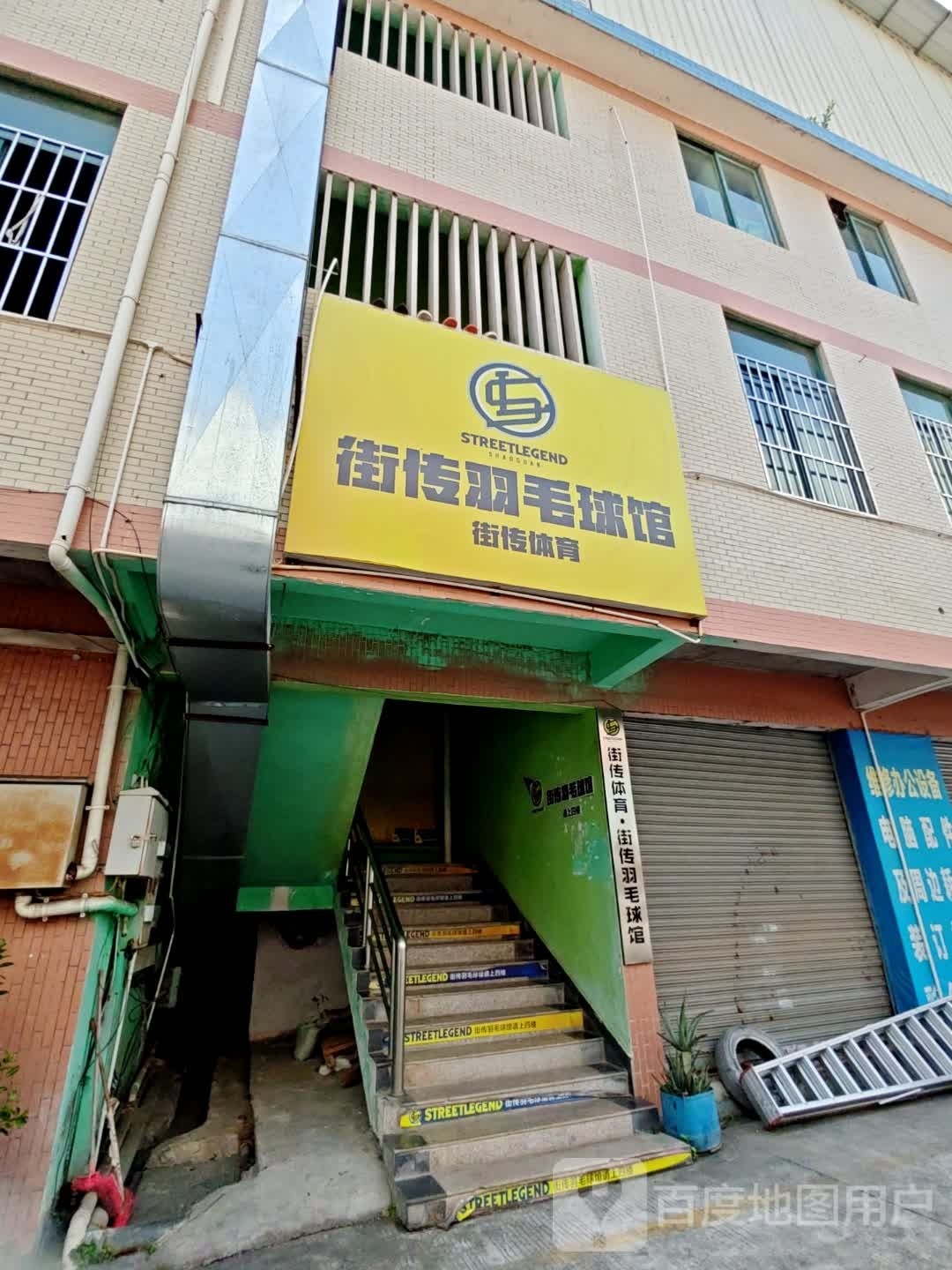 街传宇毛球