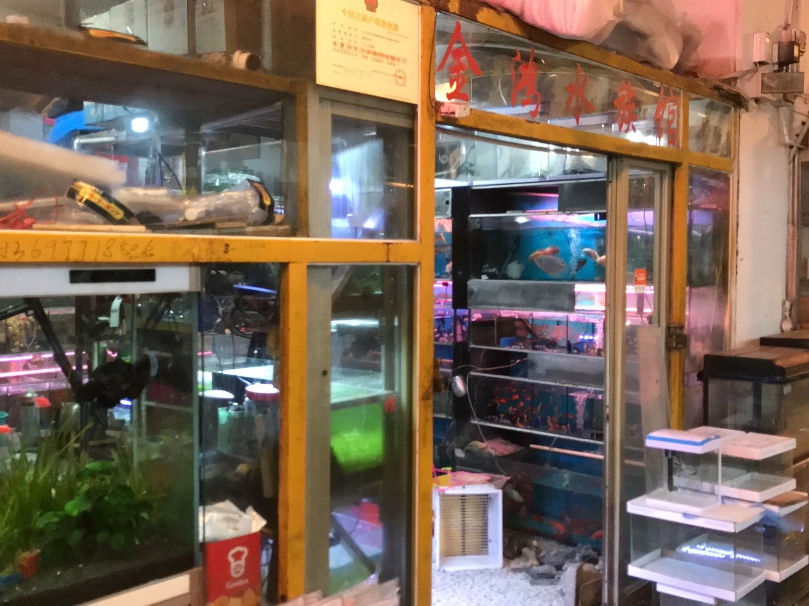 坦洲市场金鸿水族馆