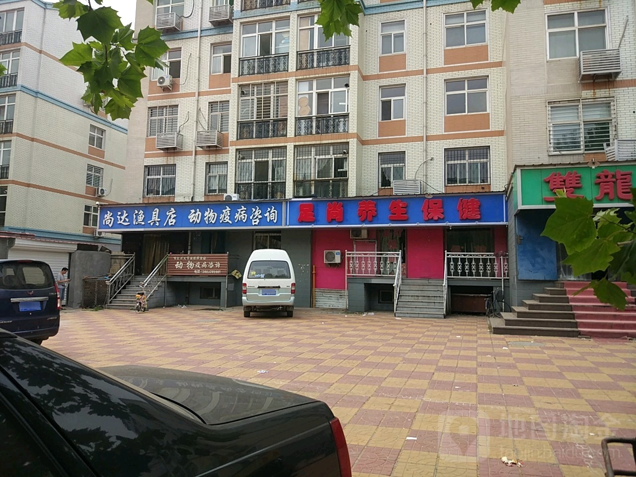 动物疫病咨询