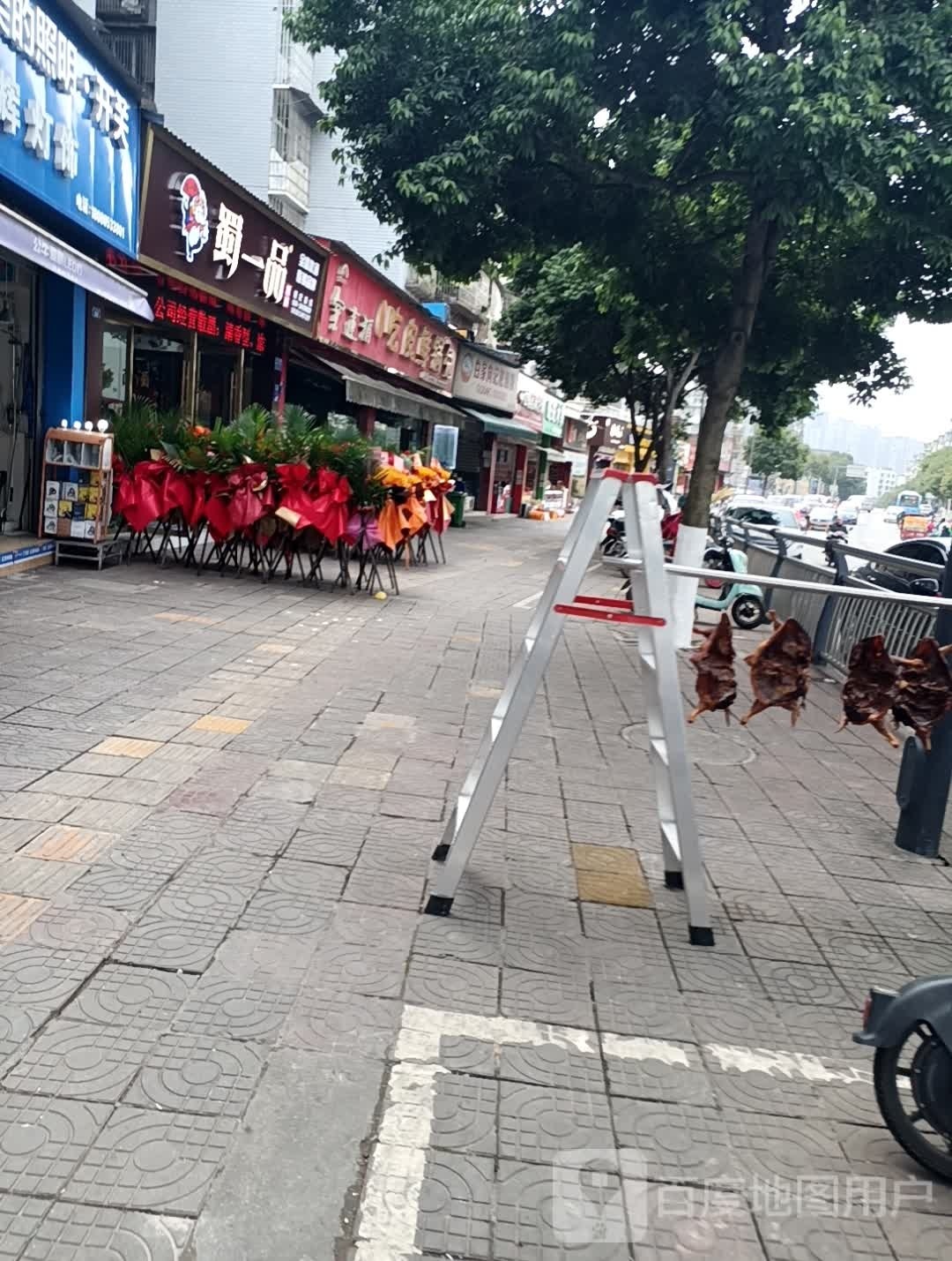 蜀一树