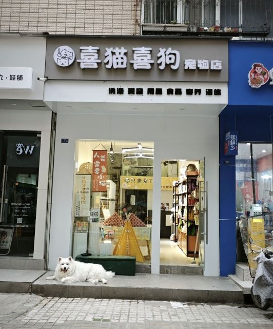 喜猫喜狗宠物店