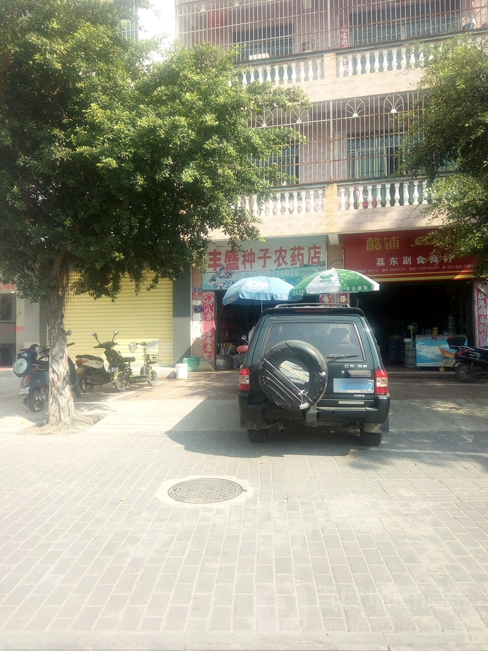 丰盛种子农药店