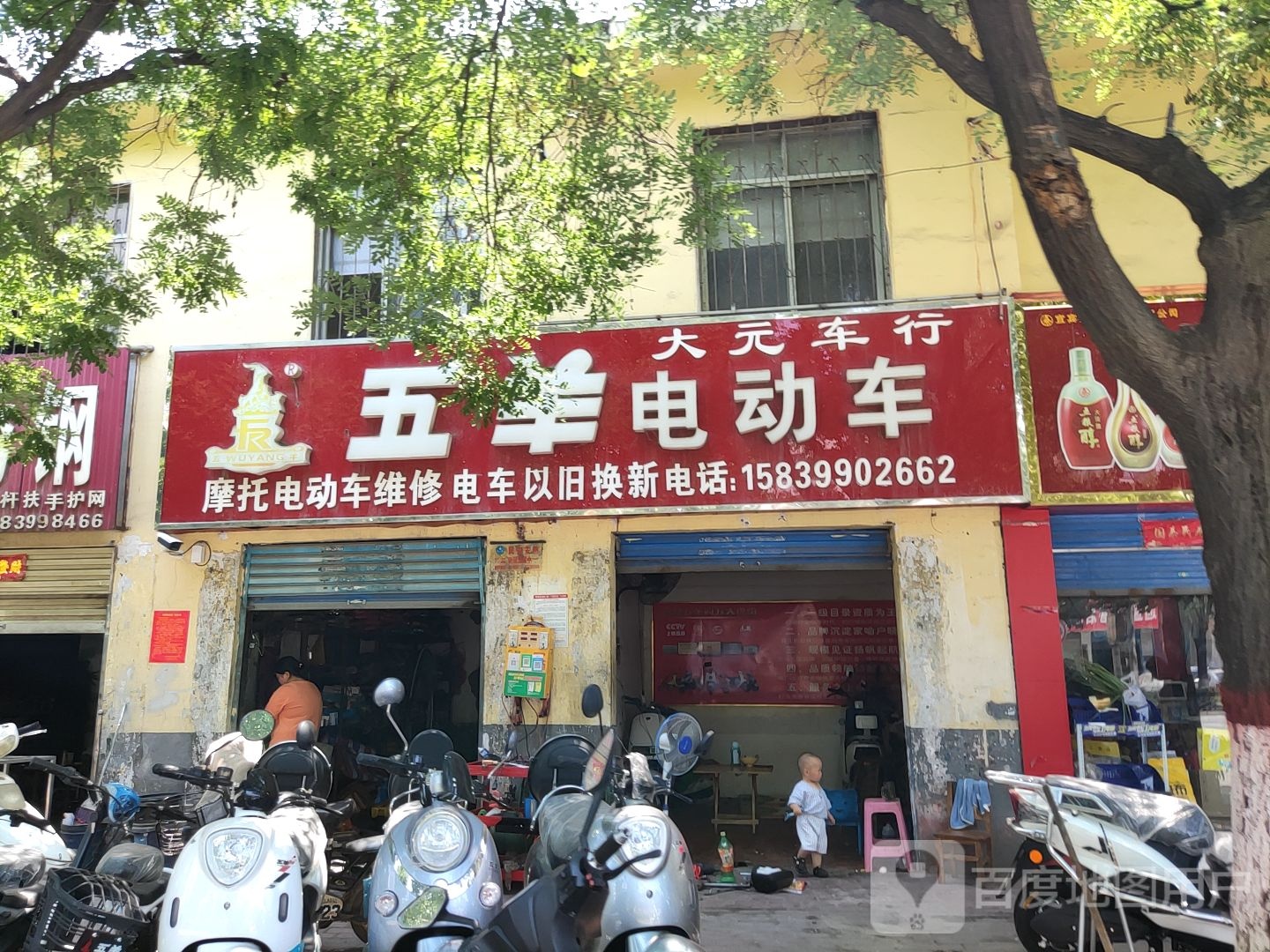 五羊电动车(北京中路店)