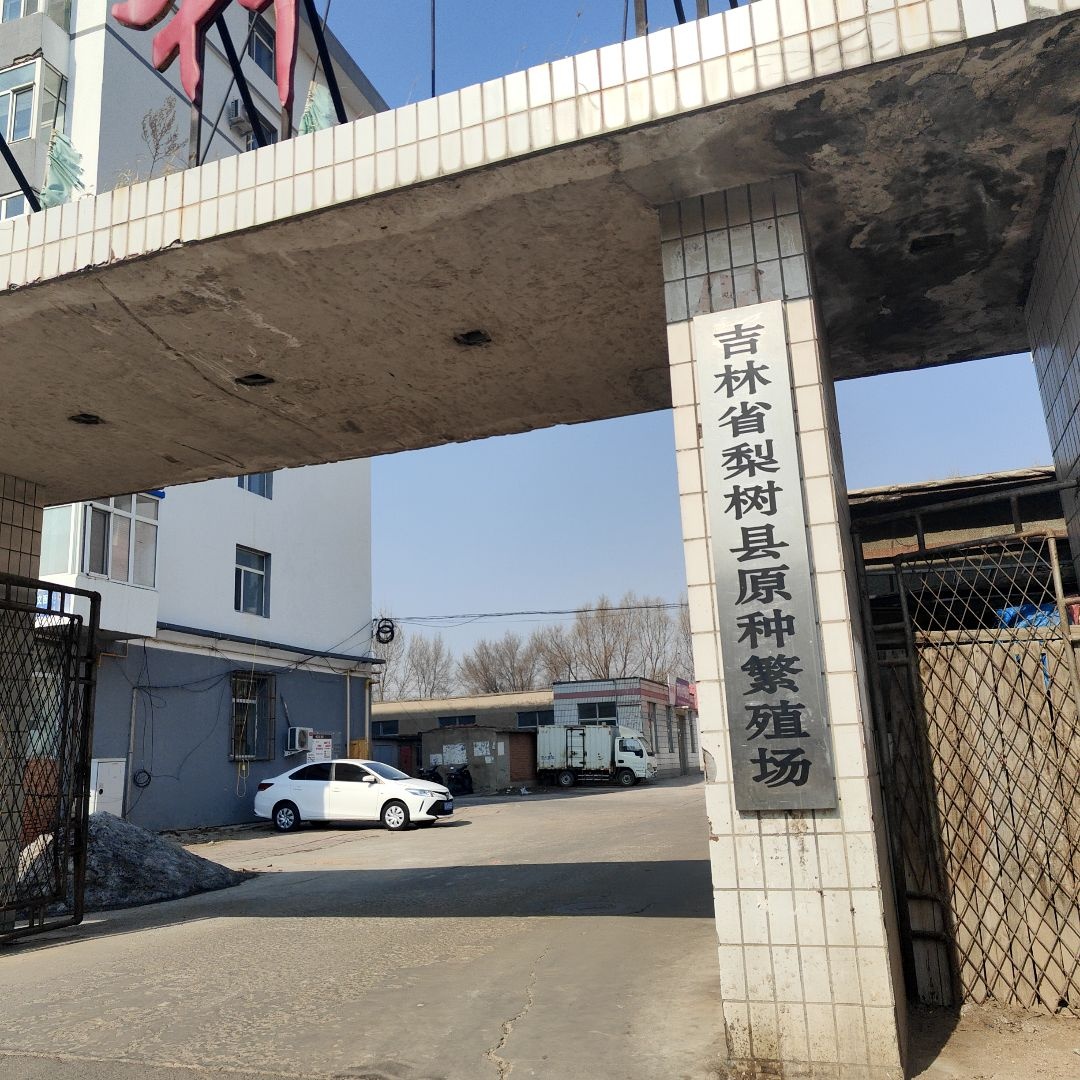 吉林省梨树县原种繁殖场