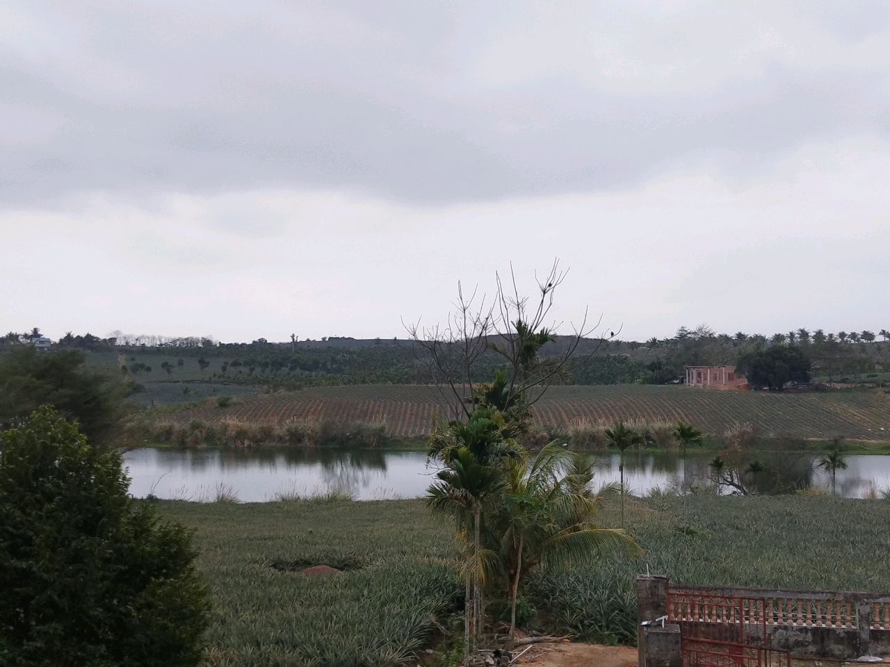 熊仔水库