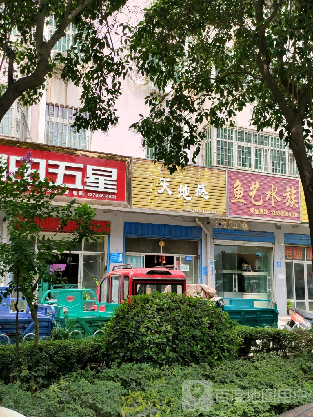 巩义市鱼艺水族(孝义路店)