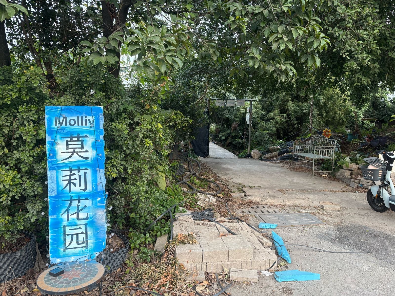 Molliy莫莉花园