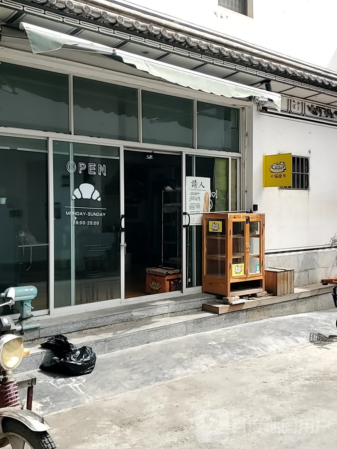 大猫绵薄