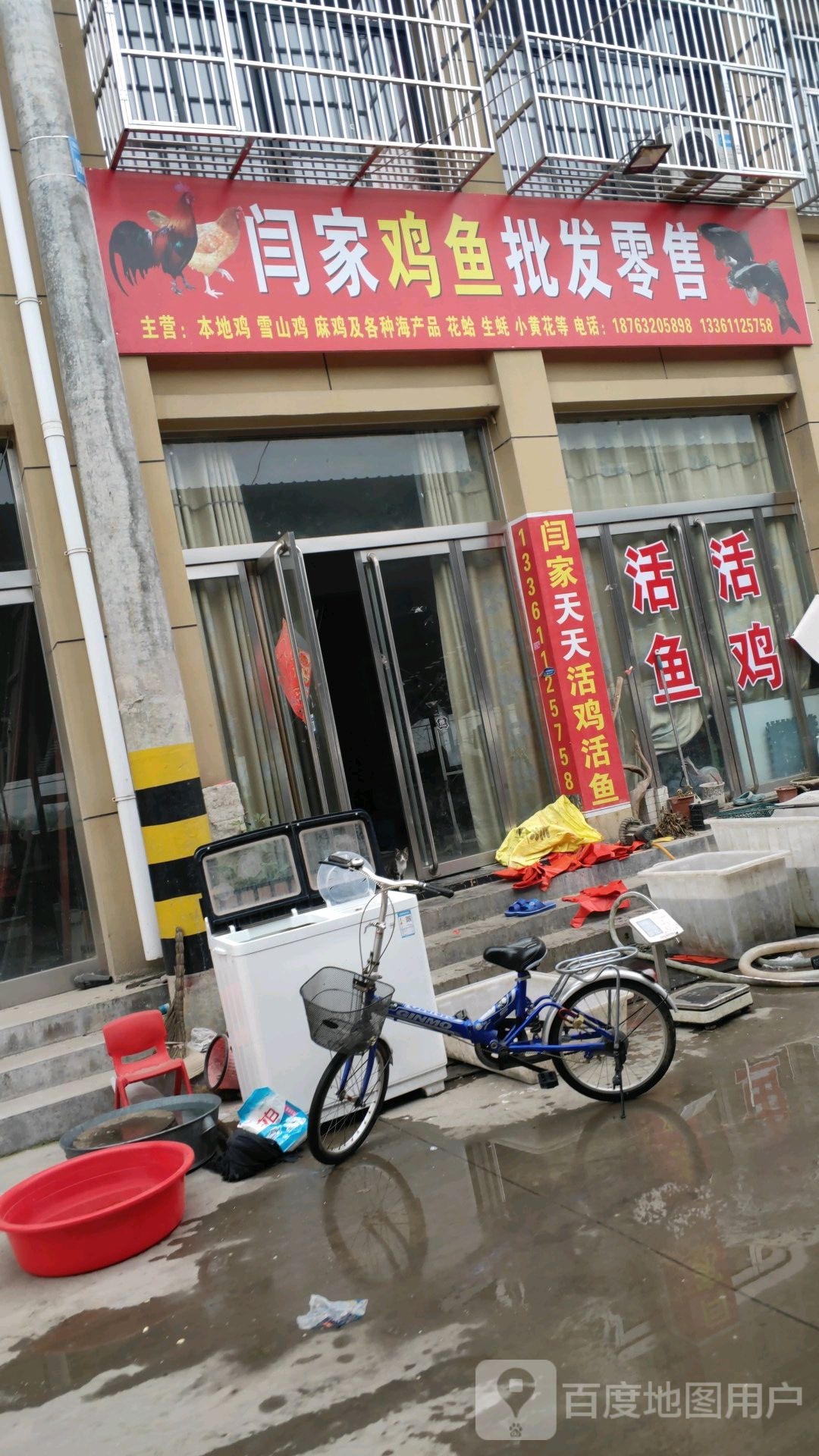 闫家鸡鱼批发云零售