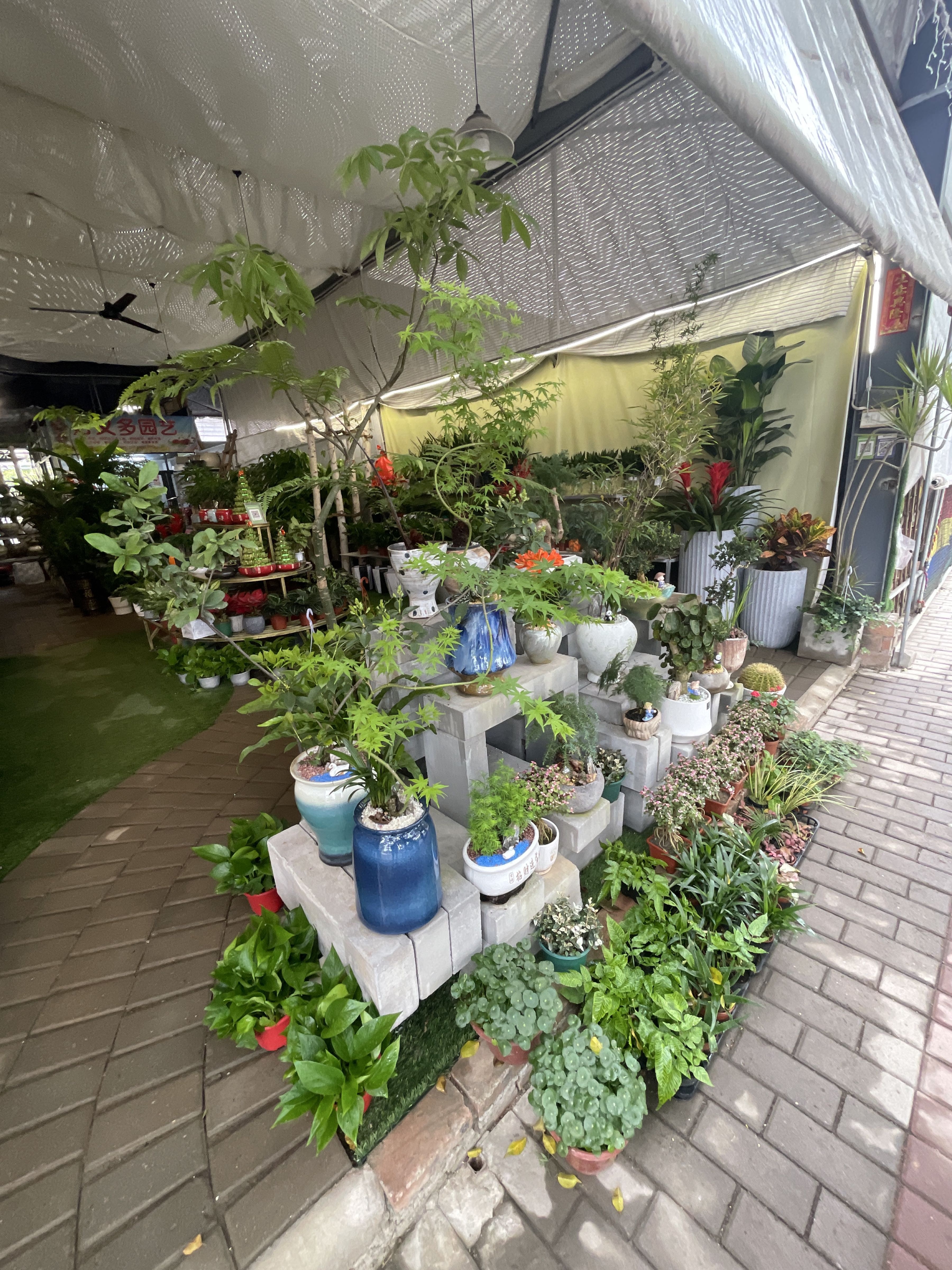 永开花卉水族世界