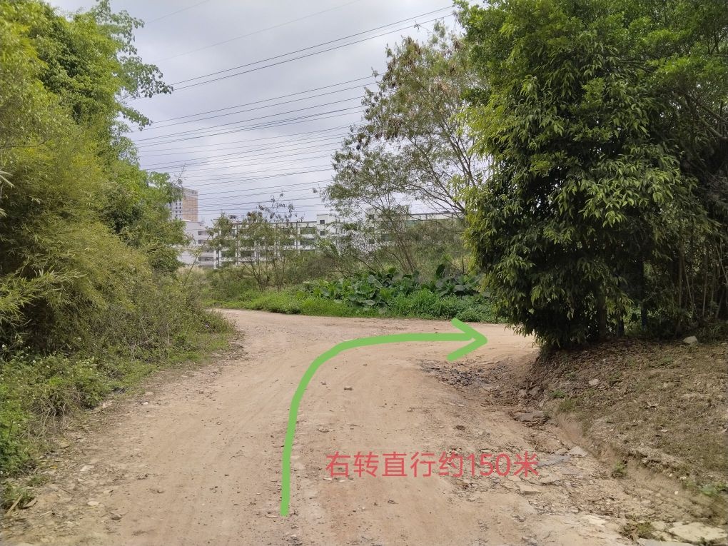 新百丽钓鱼场
