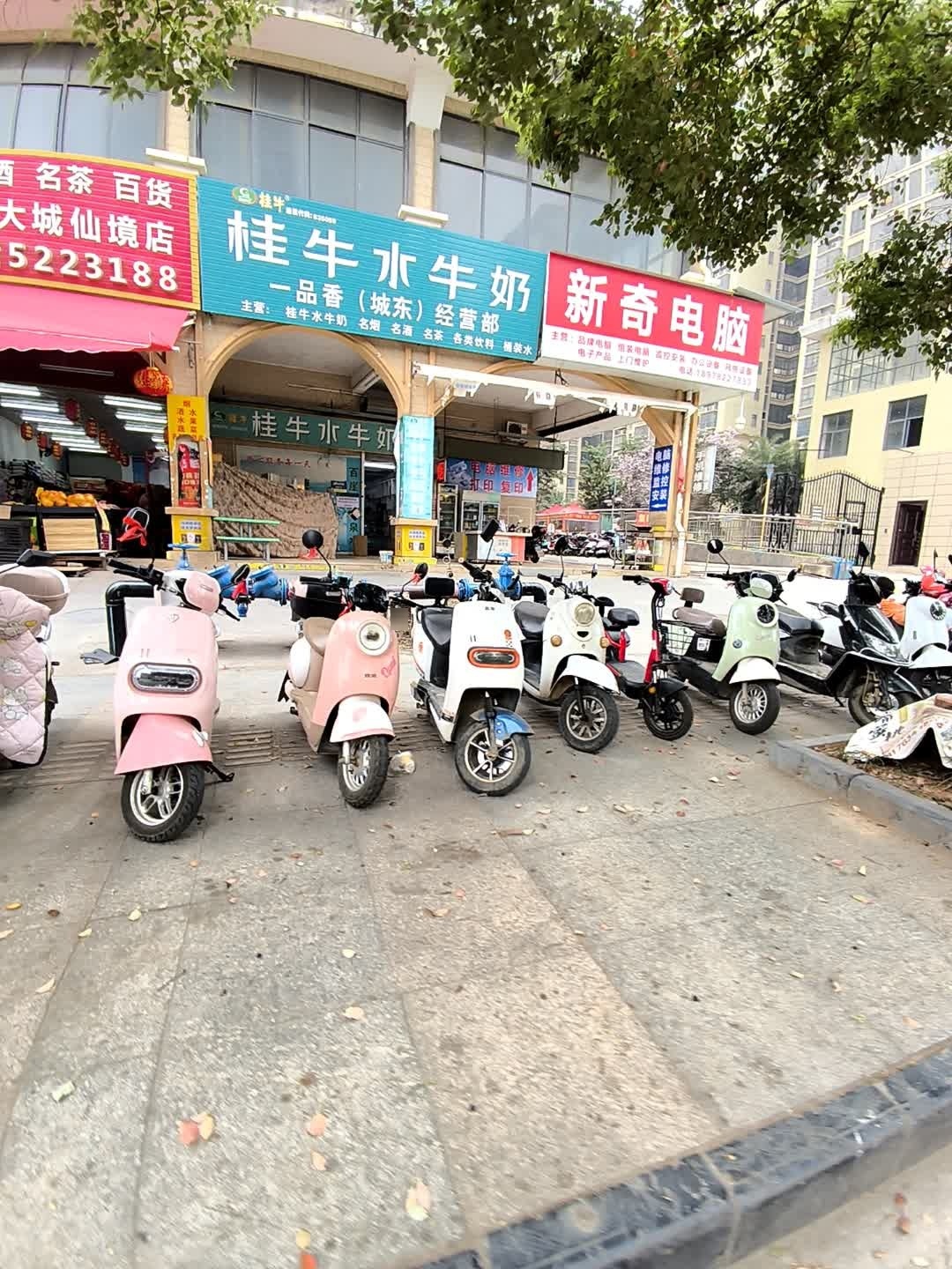 新奇电脑科技(大城小爱店)