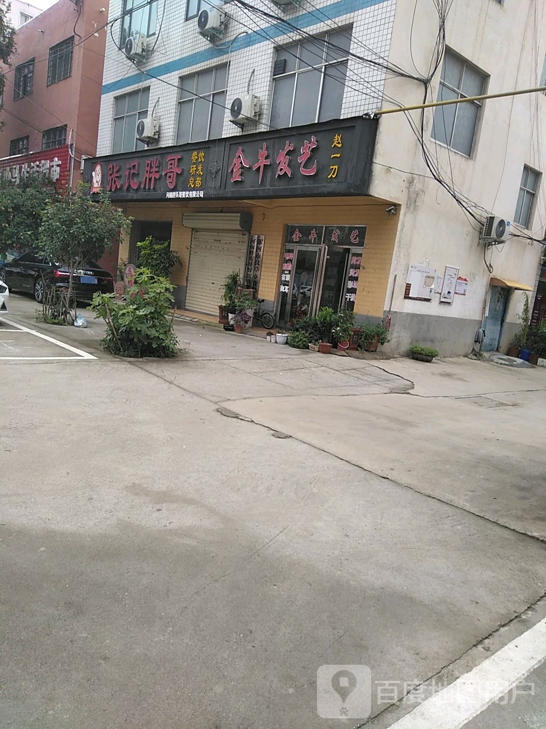 金牛发艺