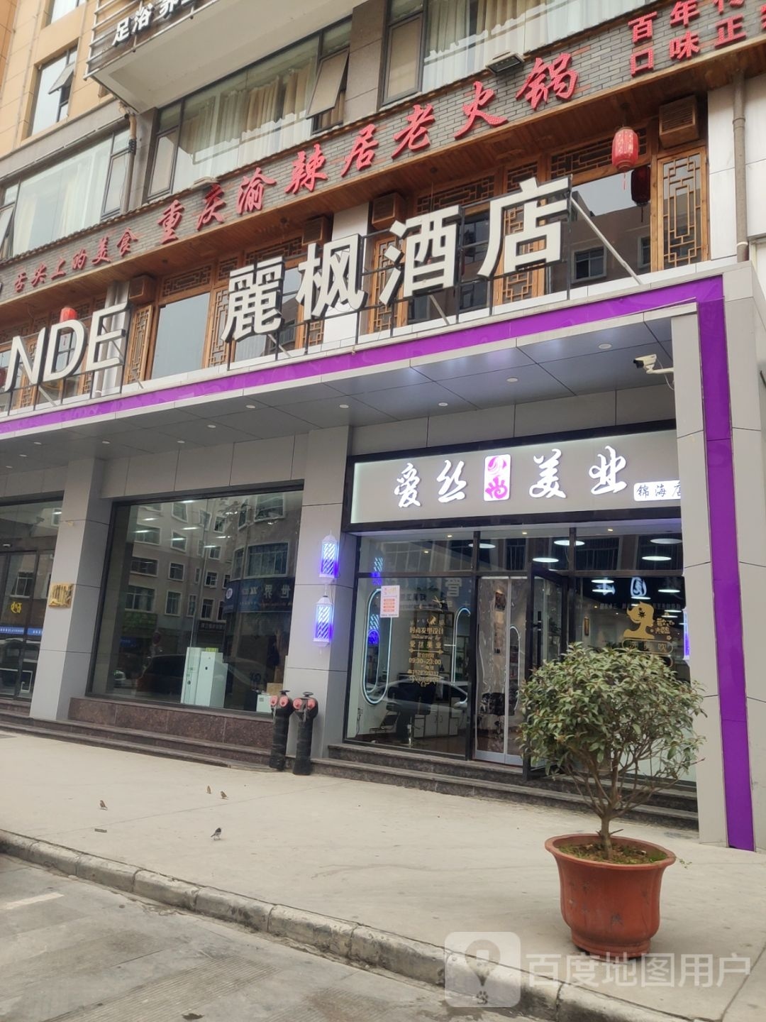 爱丝美陧哽业