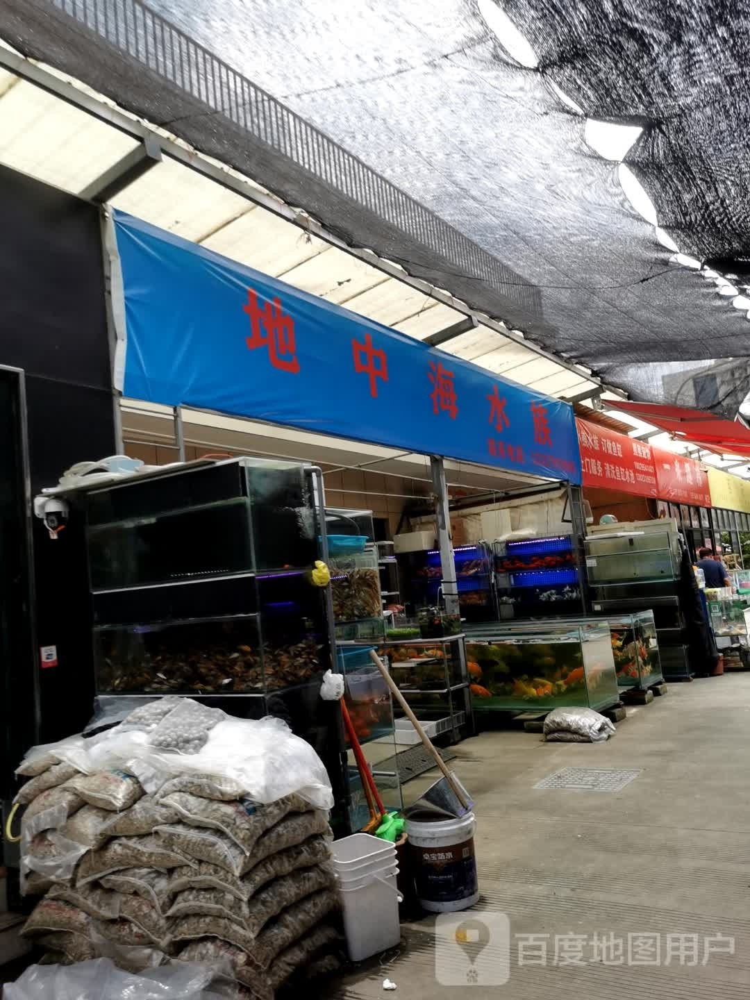 湛囟蹴海蓝水族(宁波形象店)