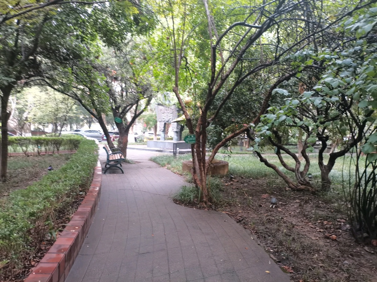 东门大学(丁家桥校区)-小树林