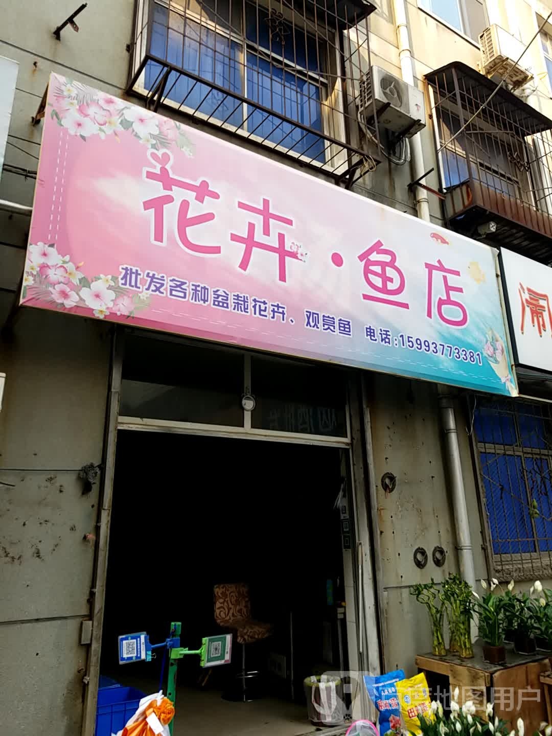 花卉鱼店