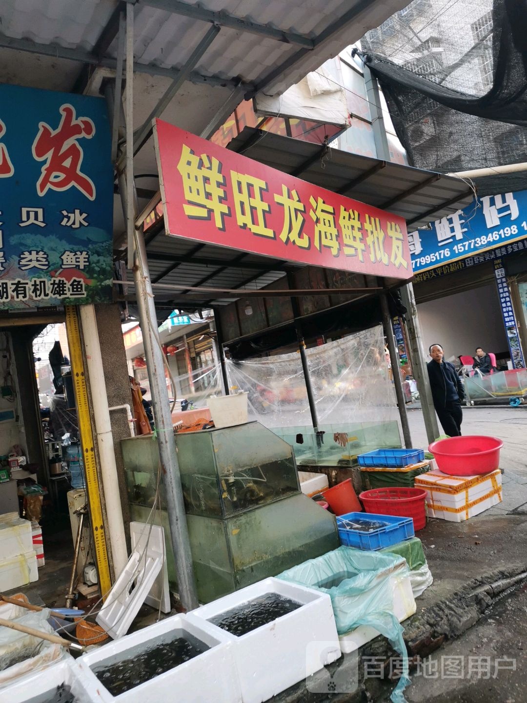鲜旺龙海鲜