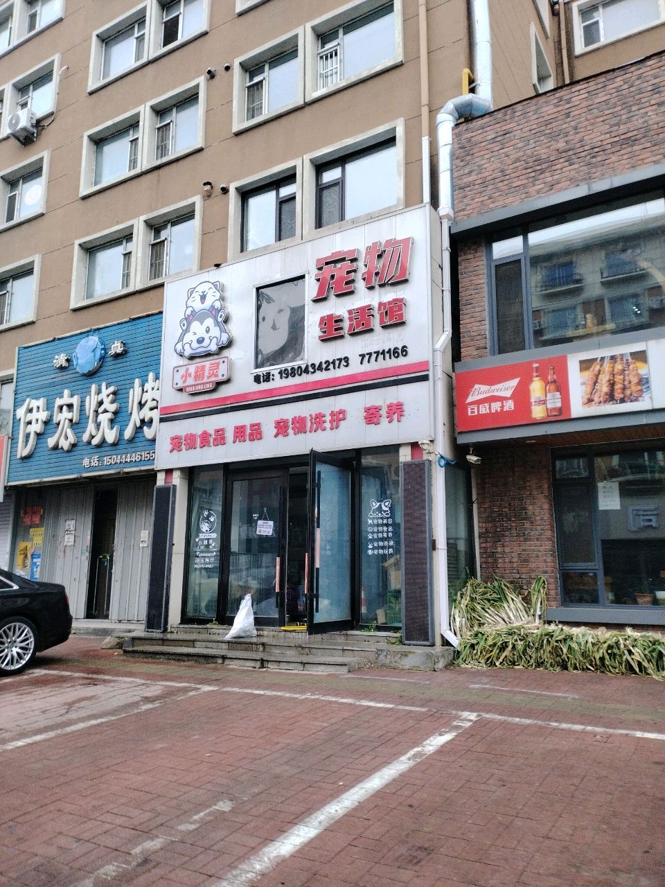 小精灵宠物生活馆(北三纬路店)