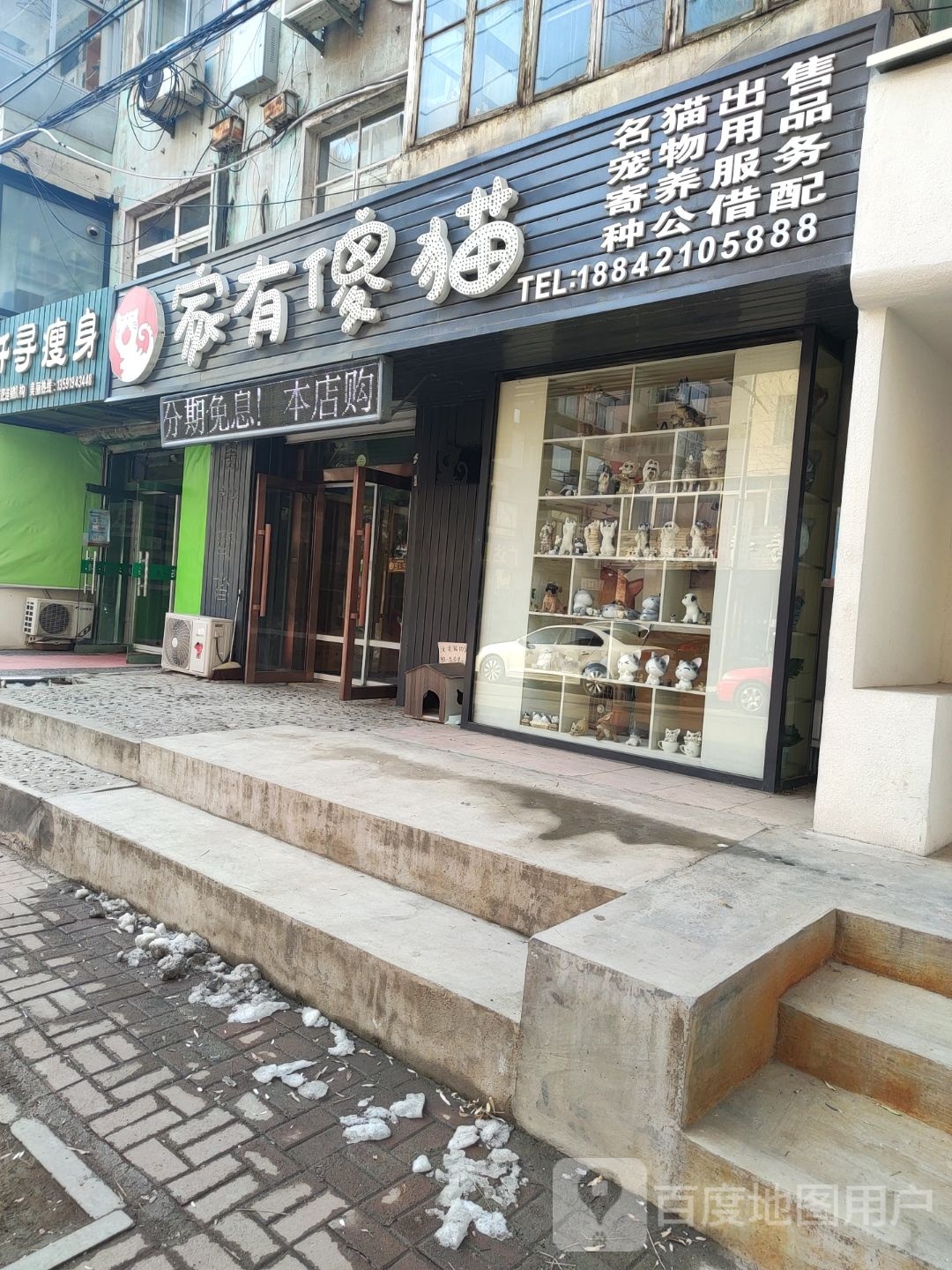 家有傻猫商业路店