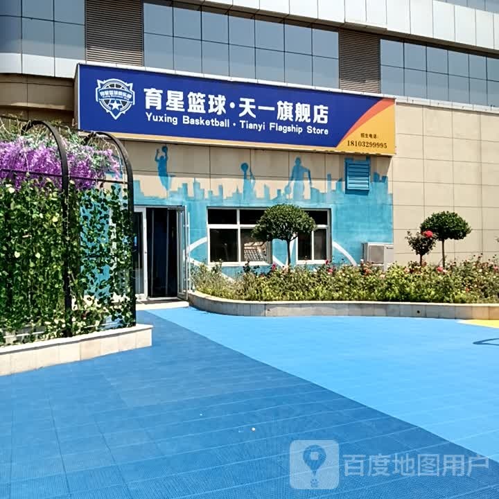 育星篮球班