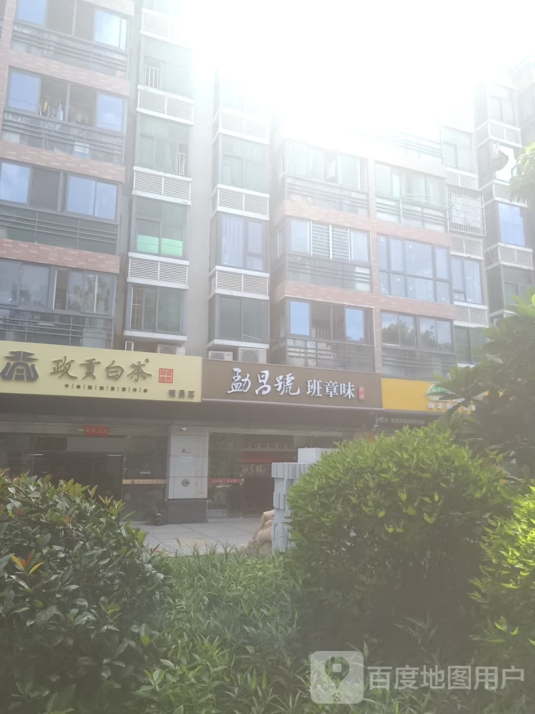 政贡白茶(现代家园店)