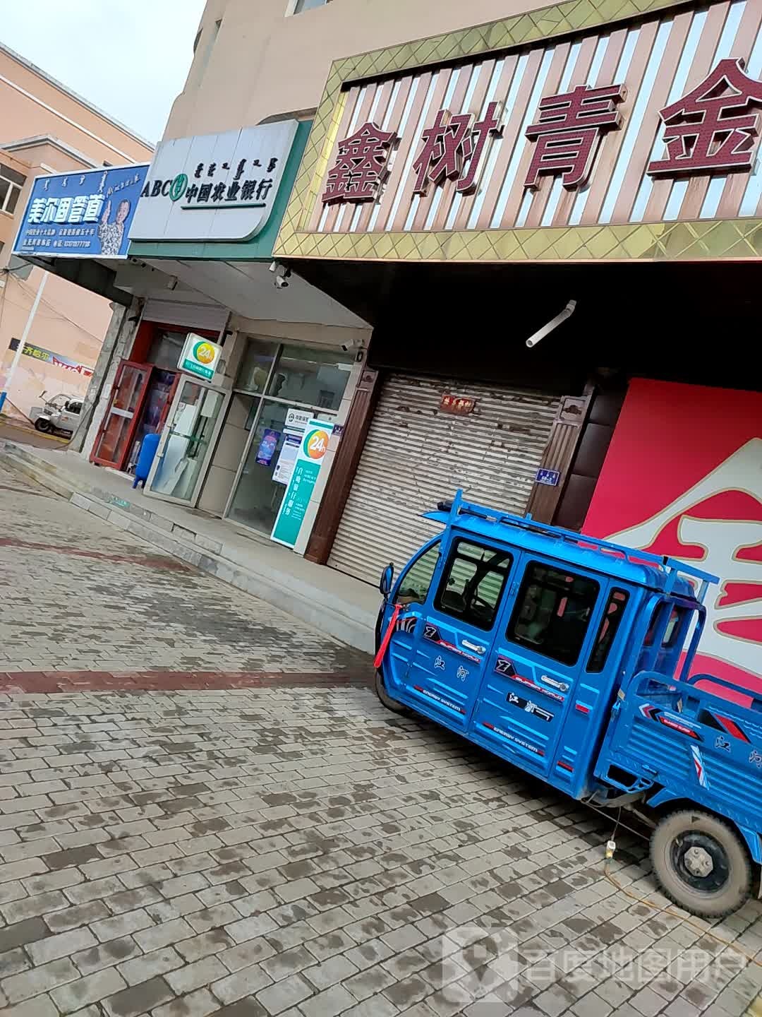 鑫树青金店