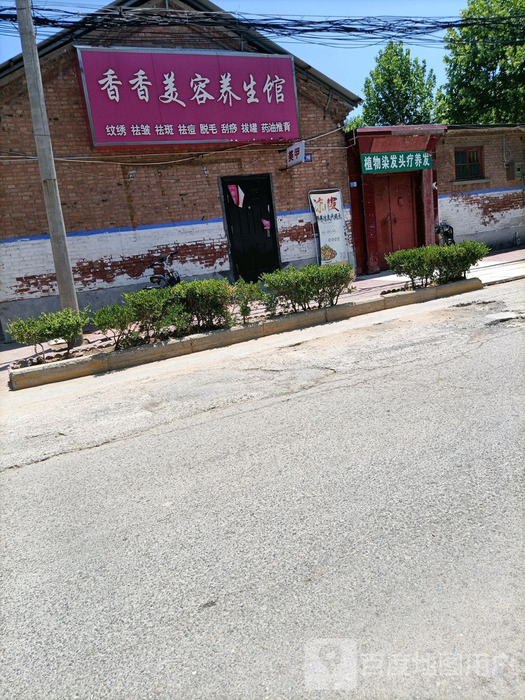 植物染发头疗养发