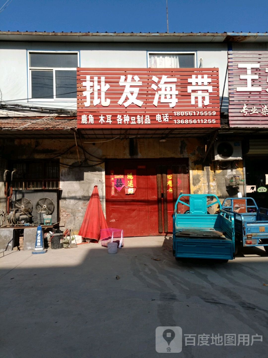 批发海带