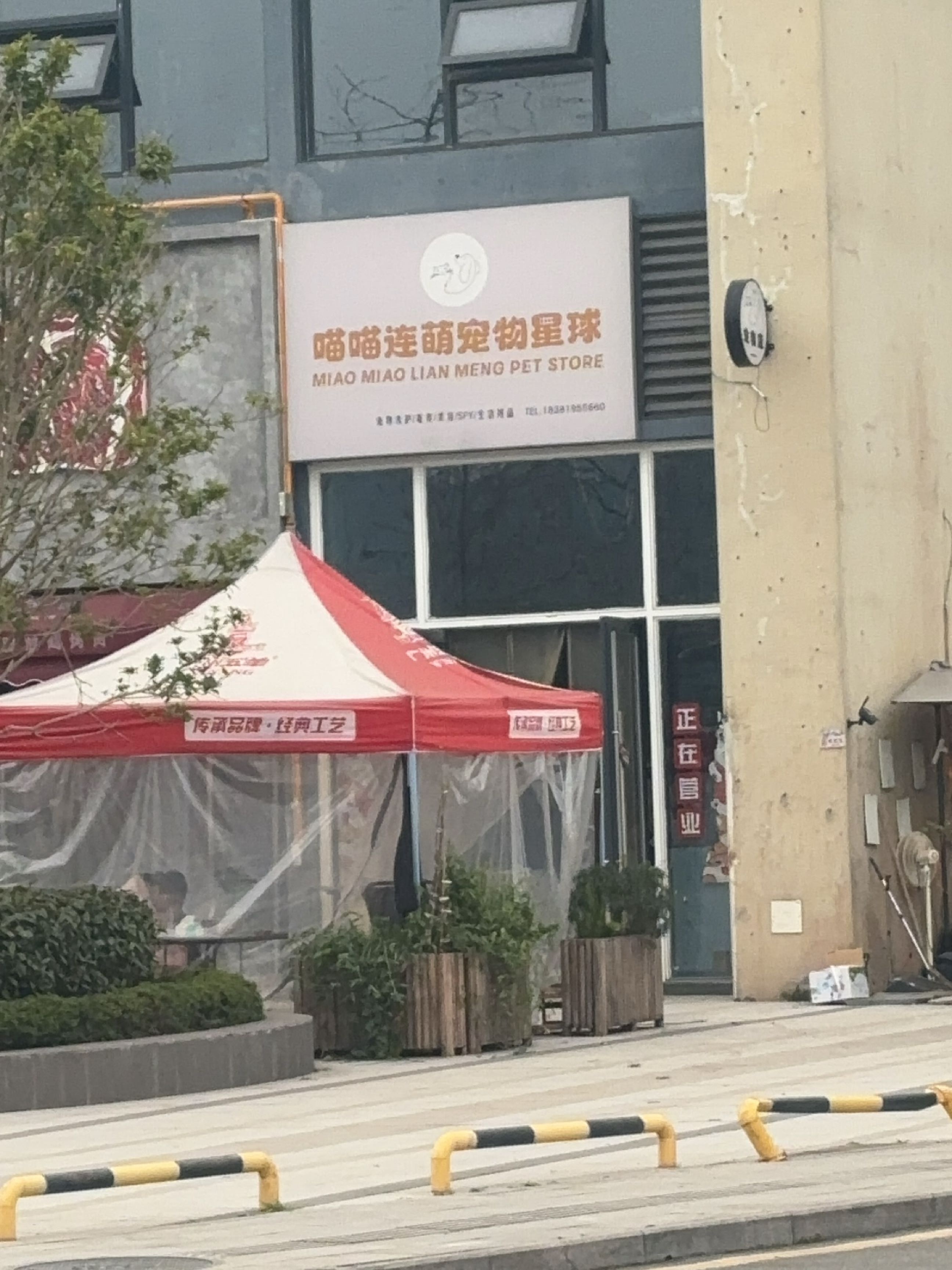 喵喵连萌宠物星球