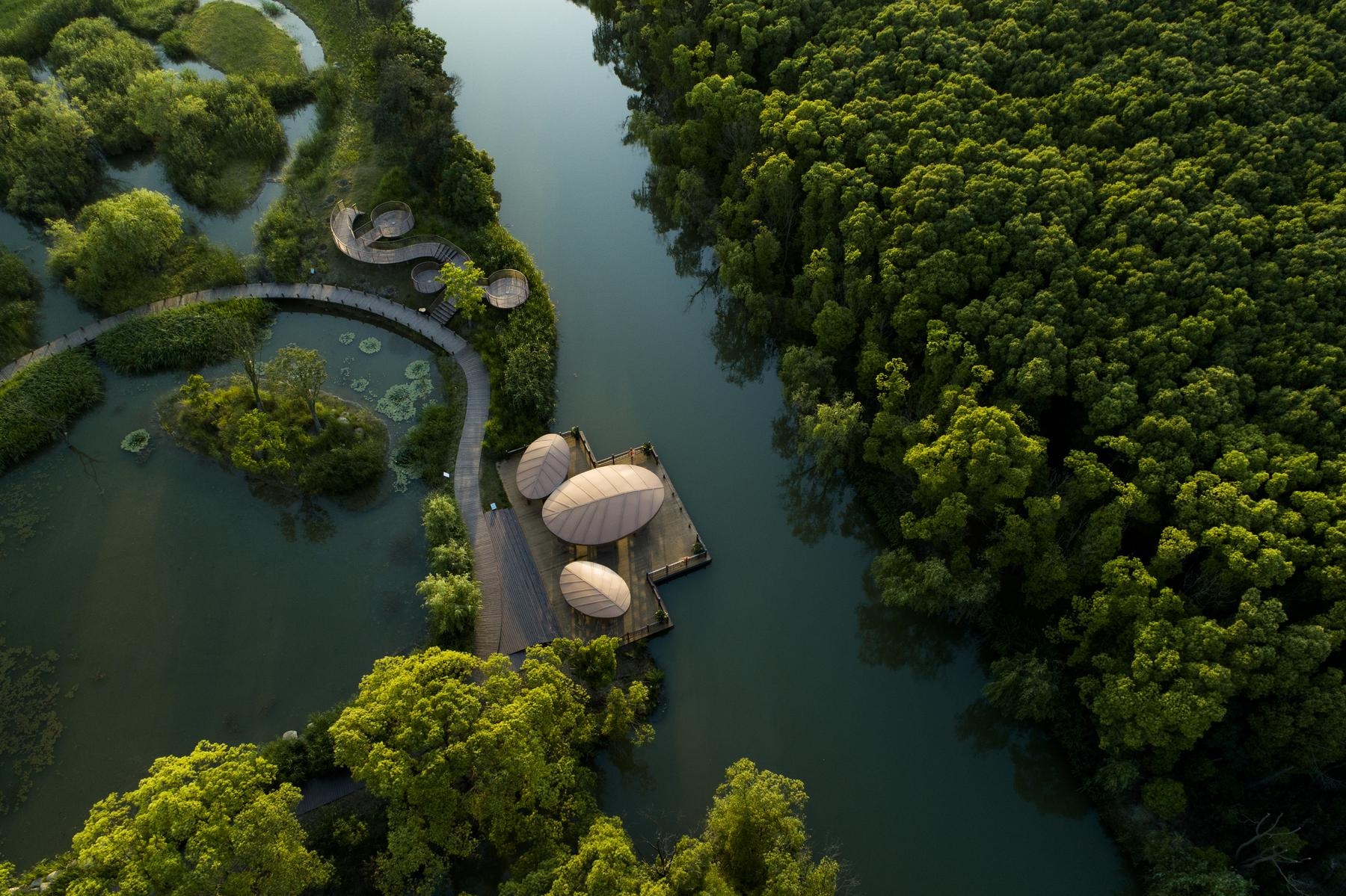 江苏同里国家湿地公园