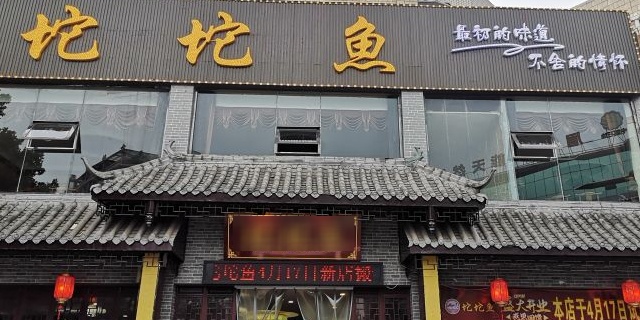 坨坨鱼