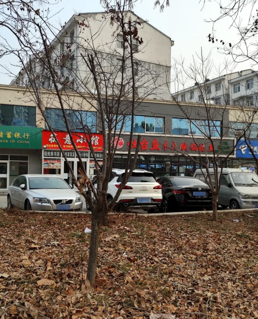 灶台鱼木火铁锅炖活鱼(河东店)