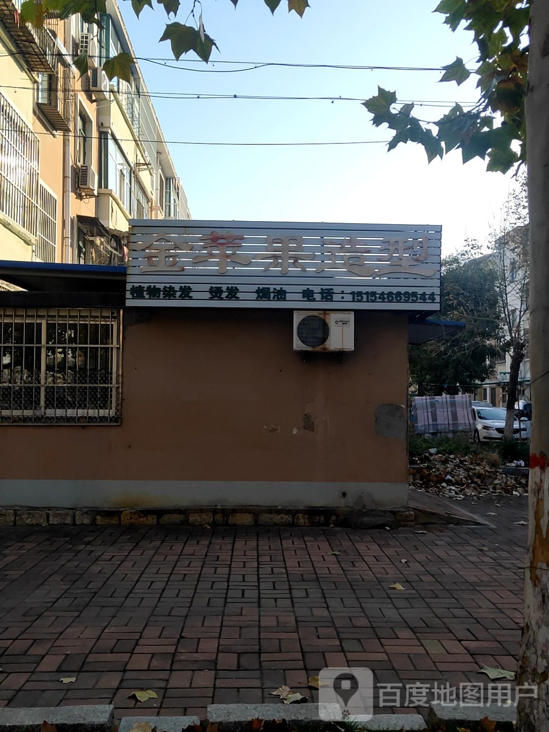 金苹guo造型
