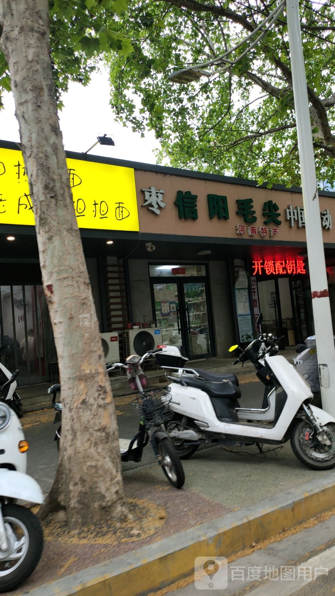 豫之南信阳毛尖(东明路店)