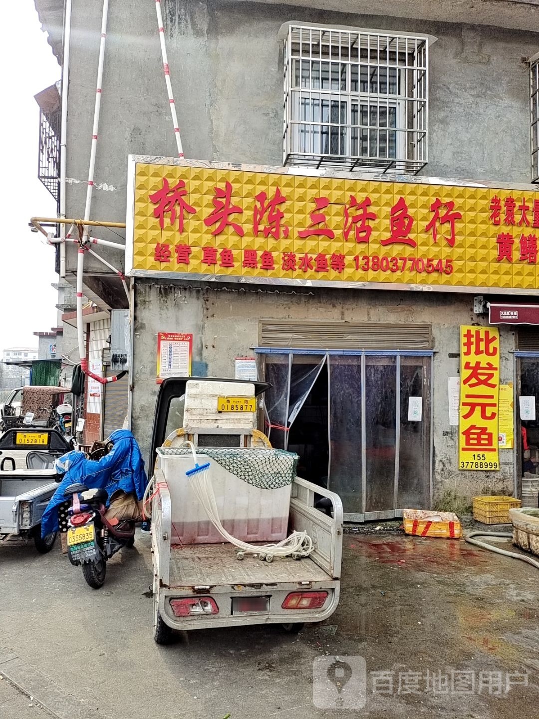 桥头陈三活鱼行